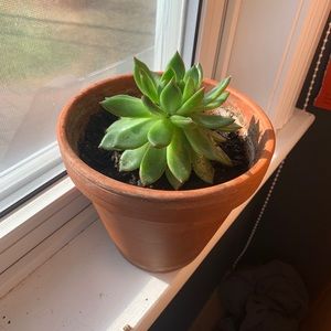 Meet your Posher, Zoë